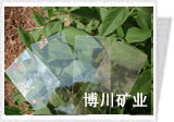 云母片