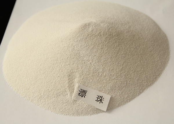 漂珠